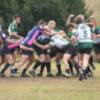 Finaliza la fase de grupos en Regional Andaluza Sénior de Rugby