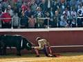Un torero con un traje tradicional se encuentra en el centro de la imagen, luchando contra un toro negro. La audiencia observa desde el lado del ruedo, con algunos sujetando cámaras.