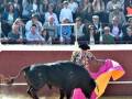 Un torero con un chaleco brillante y una capa colorida lucha con un toro negro en el centro de la imagen. La audiencia, compuesta por personas vestidas con ropa casual y accesorios como sombreros y gafas de sol, observa la escena desde los asientos del estadio. La acción capturada muestra el espíritu y la tradición de la tauromaquia.