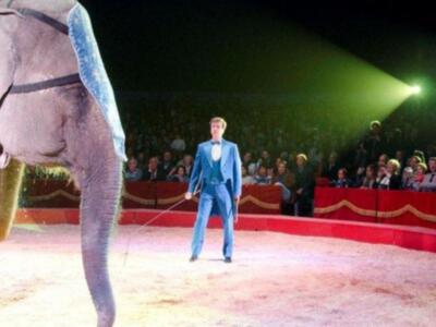 El conde de Salvatierra debuta como domador de elefantes en el circo mundial en Sevilla.