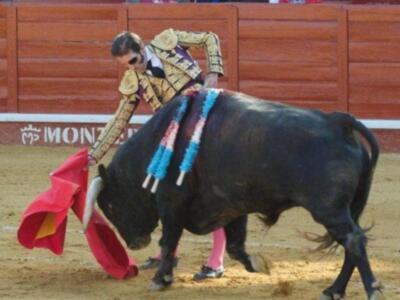 La duquesa de Alba reanuda su vida en Sevilla tras la luna de miel