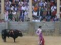 Un toro negro con el número 12 en la espalda se enfrenta a un matador de toros vestido con una capa roja y blanca. La arena está llena de espectadores que observan la acción.