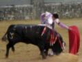 Un torero con un chaleco blanco y rojo, sujetando una capa roja, lucha contra un toro negro con el número 12 en la espalda. El fondo es una plaza de toros con un muro de piedra y arena.