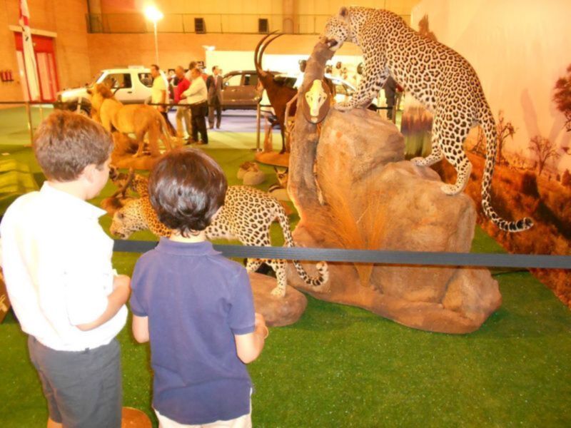 Two children observing a life-sized diorama featuring a leopard and other animals, likely in an educational or wildlife exhibit.