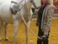 Una mujer con cabello rubio largo y una chaqueta beige está sosteniendo la correa de un caballo blanco en una arena de equitación.