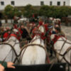 III Encuentro ibérico de enganches de tradición en Jerez de la Frontera