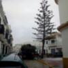 El PP tala la araucaria de la plaza vieja al margen del pueblo. ¿dónde estan ahora los ecologistas?(Chipiona)