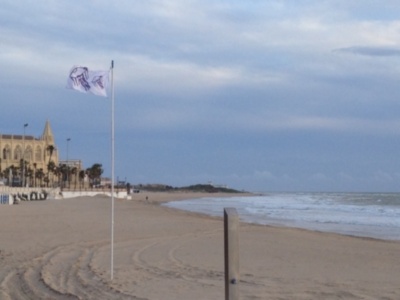 Playas retira las banderas tras comprobar que no hay  presencia de medusas(Chipiona)