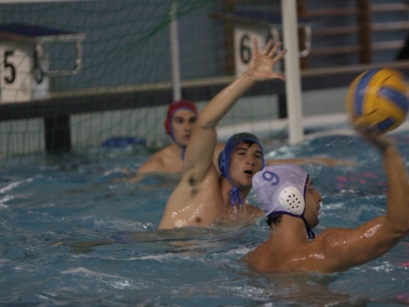 Jugadores de waterpolo en acción, con una pelota azul y amarilla en el aire. Fondo de piscina y portería.