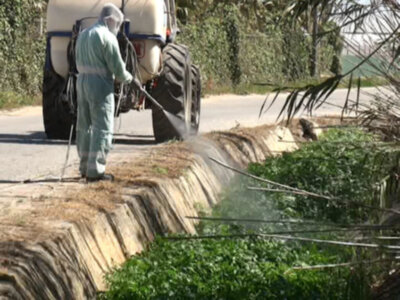 Un agricultor con equipo de protección está aplicando un agrotóxico en una línea de riego. La imagen muestra el proceso de aplicación de pesticidas para controlar plagas en cultivos.
