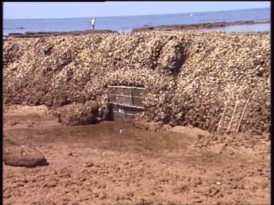 Medio Ambiente y Ordenación del Territorio prorroga cinco años la ocupación de los terrenos de los corrales de pesca(Chipiona)