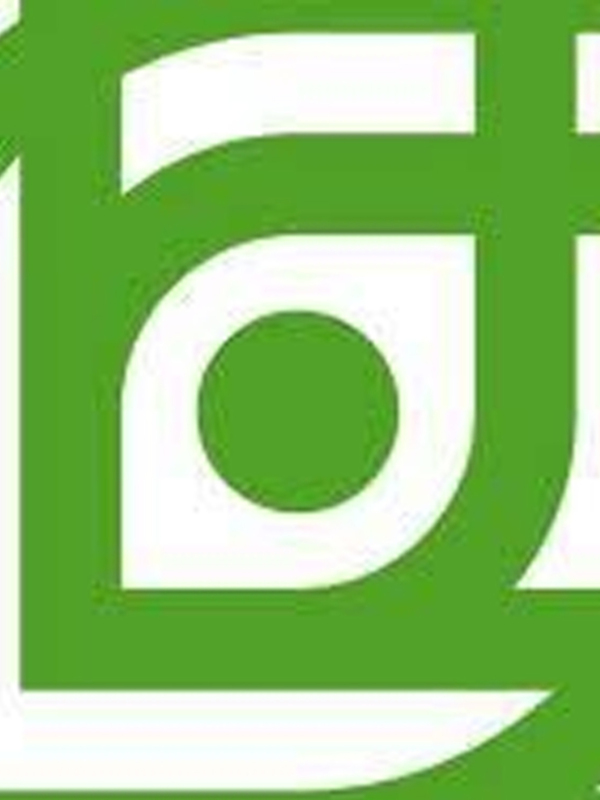 Logo de Instagram en verde y blanco