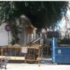 Parques y Jardines poda de urgencia la buganvilla de la calle Isaac Peral por razones de seguridad(Chipiona)