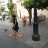 Flamenco desde China.