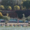 Subcampeonato para el Náutico Sevilla en el Abierto Internacional de Andalucía de remo