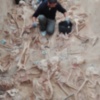 Jornada de puertas abiertas para dar a conocer los avances en la exhumación de la fosa de Puerto Real