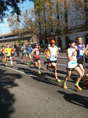 6.000 participantes en la Media Maratón de Sevilla 2016