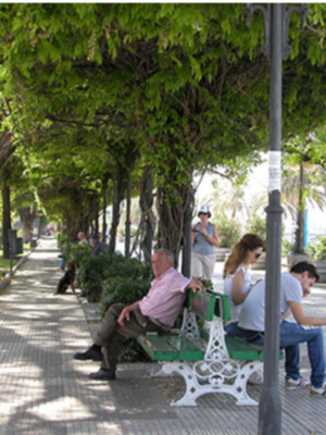Pérgolas y sombra en Sevilla