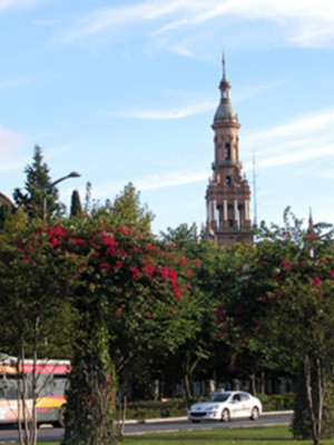 Los vecinos de Sevilla Este y Macarena Norte cuentan con el mayor número de m2 de zona verde por habitante.