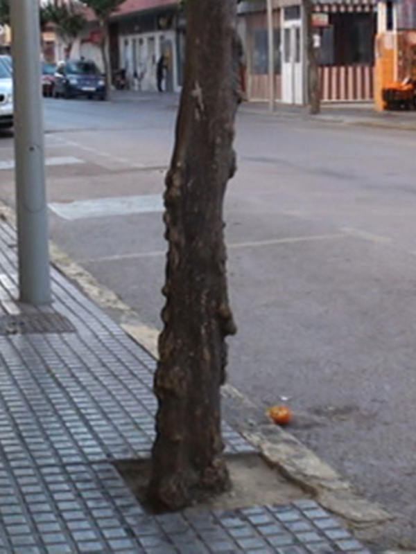 La rehabilitación del acerado de la localidad continuará con la calle Víctor Pradera(Chipiona)