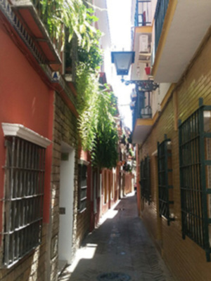 La calle Verde de Sevilla