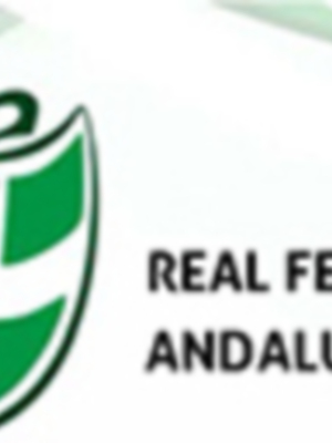 La Junta rechaza el recurso contra la División de Honor