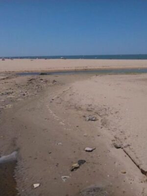 IU exige al gobierno local (PSOE) que asuma responsabilidades por las aguas fecales en la playa de Las Piletas(Sanlúcar de Bda.)   