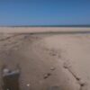 IU exige al gobierno local (PSOE) que asuma responsabilidades por las aguas fecales en la playa de Las Piletas(Sanlúcar de Bda.)   