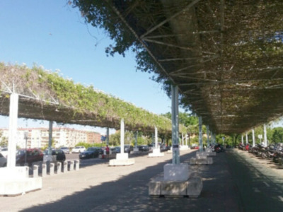 La sombra vegetal la mejor sombra