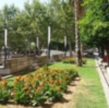 Plantaciones en la Puerta de Jerez de Sevilla