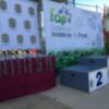 El Campeonato de Andalucía sub23 de pádel, en Sevilla