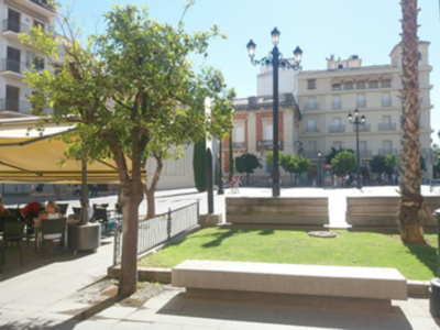 El riego del arbolado viario