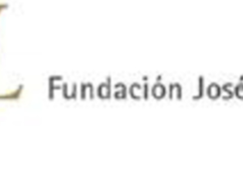 Logotipo de la Fundación José José Manuel Manuel Lara, con un diseño moderno y elegante.