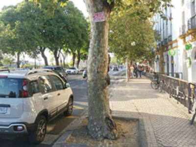 Accesibilidad y discapacidad en las calles de Sevilla