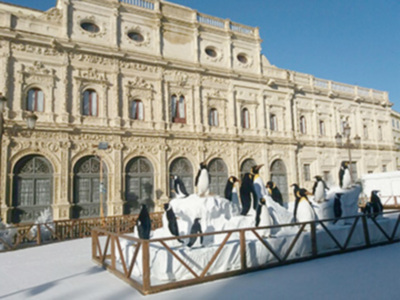 Los pingüinos de la Plaza San Francisco