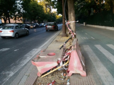 El árbol en la ciudad.