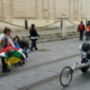 Los otros ganadores de la Maraton