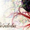 Canal Sur Radio emite este viernes la final del Carnaval de Córdoba