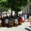 Bajo la sombra de los naranjos de la Plaza Nueva.