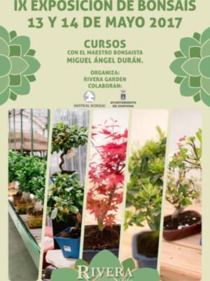 Rivera Garden organiza los días 13 y 14 de mayo su anual exposición de bonsáis y cursos con un experto nacional