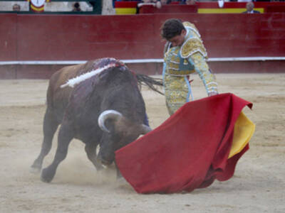 Alfonso Cadaval deja buena impresión en su debut en Valencia