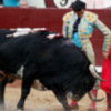 Tarde sin espadas en el día de San Isidro; herido el banderillero Manuel Muñoz