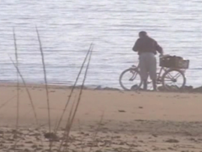 En la imagen, se observa a una persona en bicicleta con un cesto en el frente, parada en la orilla de una playa. El mar se extiende al fondo, y las dunas están cubiertas de vegetación. La silueta del ciclista se destaca contra el azul del océano y el amarillo de la arena.