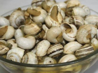 Gran "Caracolá" en Alcalá de Guadaira, Sevilla
