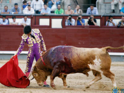 Novillada de triunfadores Madrid, 18 de junio de 2017.
