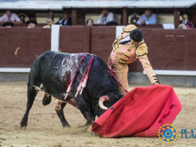 Iván Vicente corta una oreja a un sobrero de Cortijo de la Sierra