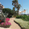 Estepona será sede del 45ª Congreso Nacional de Parques y Jardines Públicos en 2018