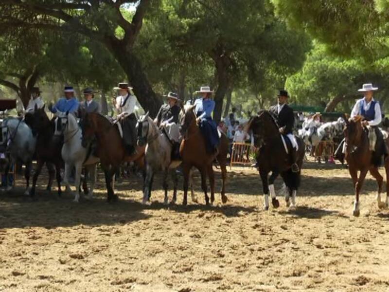 Desfile ecuestre bajo sombra de árboles en un evento al aire libre.