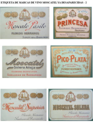 El vino moscatel de Chipiona