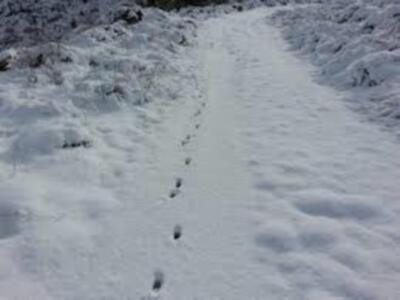 Preparadas para hacer frente a las nevadas en Andalucía, Asturias, Cataluña y Murcia 263 máquinas quitanieves y 36.884 toneladas de fundentes
